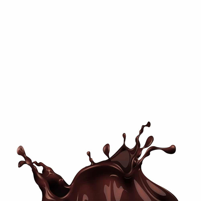 Chocolat chaud (12 X 800 g)